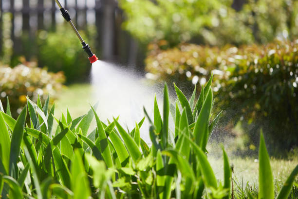Tamper-Resistant Bait Stations for Rodents in Stuart