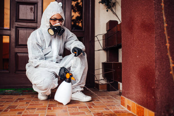 Attic and Crawl Space Rodent Treatment in Stuart