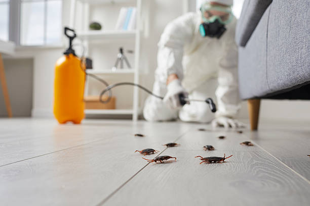 Commercial Rodent Management in Stuart